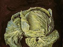 Cabbage Still Life, 2000-Vincent Yorke-Framed Giclee Print