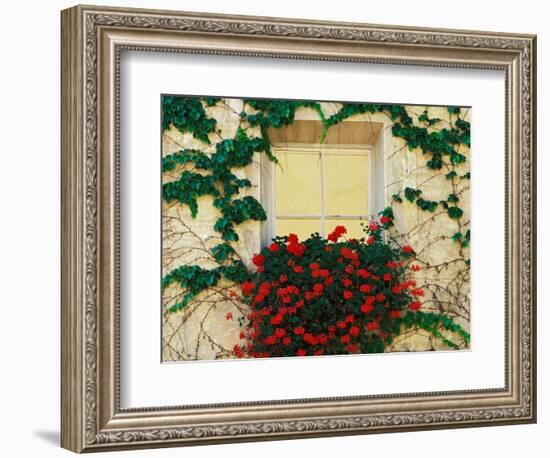 Vine and Flowers Around Window, Brixen, Italy-Adam Jones-Framed Photographic Print