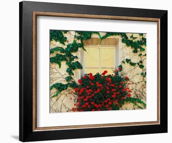 Vine and Flowers Around Window, Brixen, Italy-Adam Jones-Framed Photographic Print