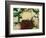 Vine and Flowers Around Window, Brixen, Italy-Adam Jones-Framed Photographic Print