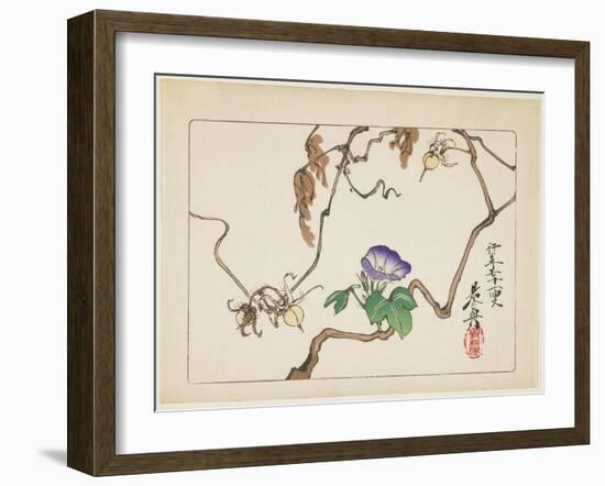 Vine and Seeds of Morning Glory, 1877-Shibata Zeshin-Framed Giclee Print