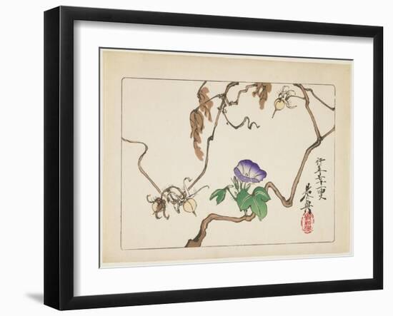 Vine and Seeds of Morning Glory, 1877-Shibata Zeshin-Framed Giclee Print