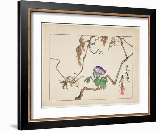 Vine and Seeds of Morning Glory, 1877-Shibata Zeshin-Framed Giclee Print