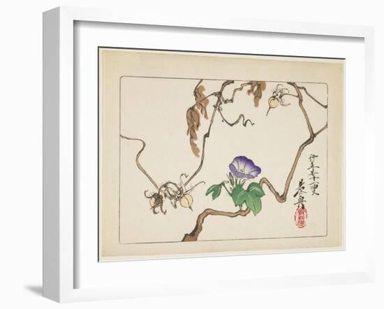 Vine and Seeds of Morning Glory, 1877-Shibata Zeshin-Framed Giclee Print