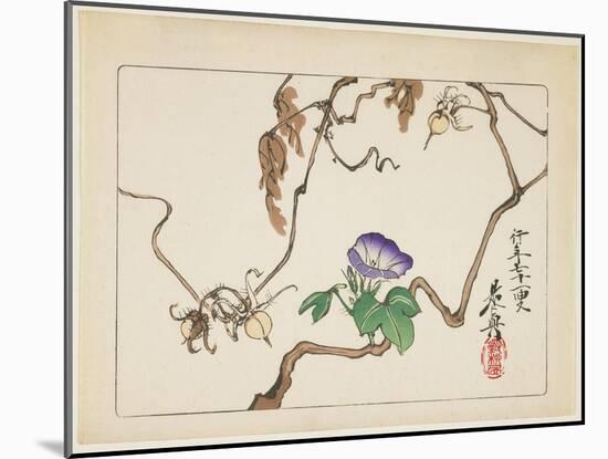 Vine and Seeds of Morning Glory, 1877-Shibata Zeshin-Mounted Giclee Print