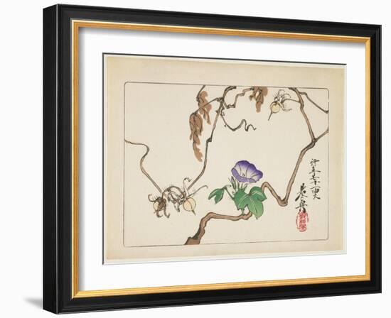 Vine and Seeds of Morning Glory, 1877-Shibata Zeshin-Framed Giclee Print