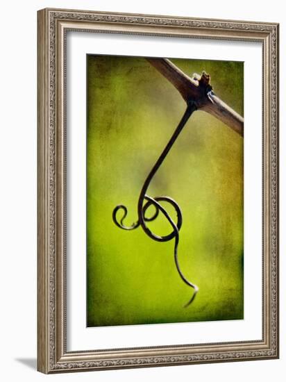 Vine Curl 1-Jessica Rogers-Framed Giclee Print