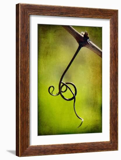 Vine Curl 1-Jessica Rogers-Framed Giclee Print