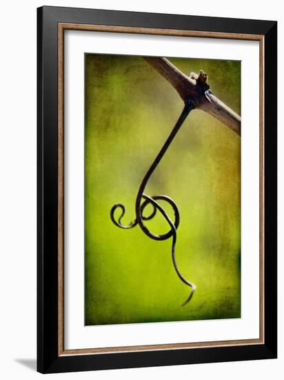 Vine Curl 1-Jessica Rogers-Framed Giclee Print