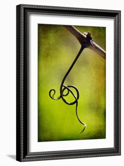 Vine Curl 1-Jessica Rogers-Framed Giclee Print