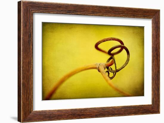 Vine Curl 2-Jessica Rogers-Framed Giclee Print