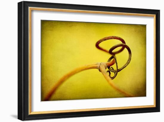 Vine Curl 2-Jessica Rogers-Framed Giclee Print