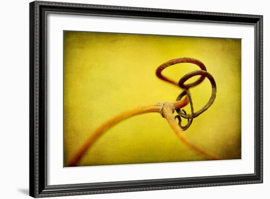 Vine Curl 2-Jessica Rogers-Framed Giclee Print