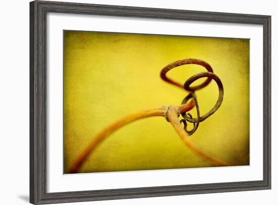 Vine Curl 2-Jessica Rogers-Framed Giclee Print