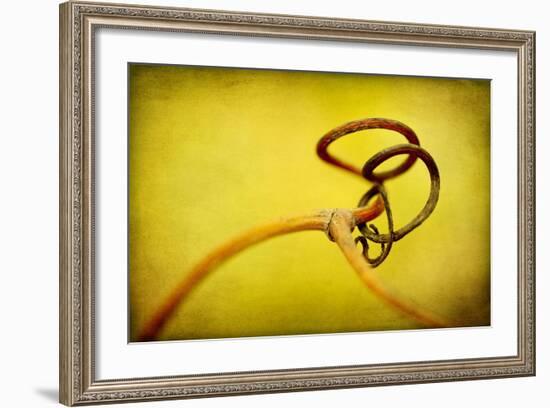 Vine Curl 2-Jessica Rogers-Framed Giclee Print