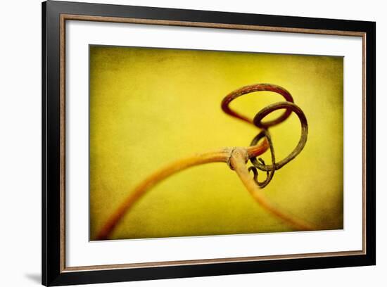 Vine Curl 2-Jessica Rogers-Framed Giclee Print