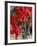 Vine in Autumn, St. Emilion, Bordeaux, France-Adam Woolfitt-Framed Photographic Print