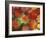 Vine Maple Autumn Colors, Issaquah, Washington, USA-Darrell Gulin-Framed Photographic Print