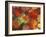 Vine Maple Autumn Colors, Issaquah, Washington, USA-Darrell Gulin-Framed Photographic Print