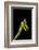 Vine Snake, Mashpi Lodge, Reserva Mashpi Amagusa, Pichincha, Ecuador, South America-Ben Pipe-Framed Photographic Print