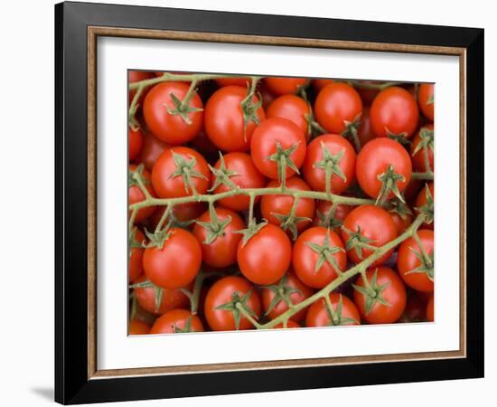 Vine Tomatoes in Street Market, Ortygia, Syracuse, Sicily, Italy, Europe-Martin Child-Framed Photographic Print