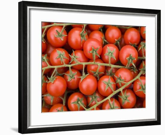 Vine Tomatoes in Street Market, Ortygia, Syracuse, Sicily, Italy, Europe-Martin Child-Framed Photographic Print