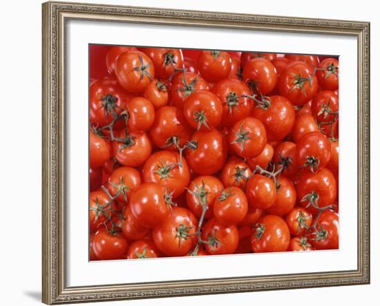 Vine Tomatoes-null-Framed Photographic Print