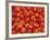 Vine Tomatoes-null-Framed Photographic Print