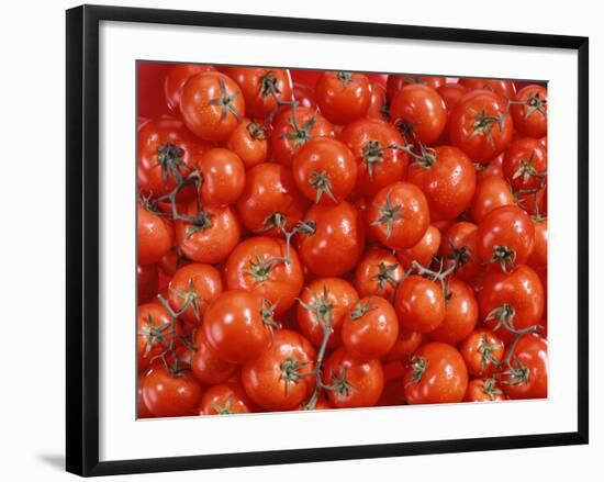 Vine Tomatoes-null-Framed Photographic Print