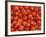 Vine Tomatoes-null-Framed Photographic Print