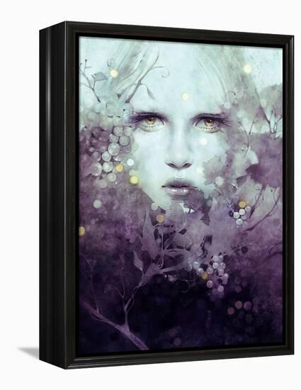 Vine-Anna Dittman-Framed Stretched Canvas