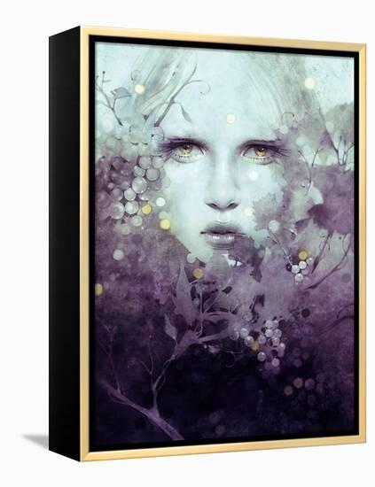 Vine-Anna Dittman-Framed Stretched Canvas