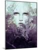 Vine-Anna Dittman-Mounted Art Print