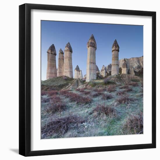 Vines and Fairy Chimneys in the Love Valley, Morning Frost, Tuff, Cappadocia, Anatolia, Turkey-Rainer Mirau-Framed Photographic Print