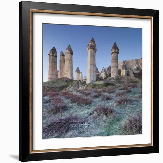 Vines and Fairy Chimneys in the Love Valley, Morning Frost, Tuff, Cappadocia, Anatolia, Turkey-Rainer Mirau-Framed Photographic Print