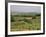 Vines and Vineyards on Rolling Countryside in the Heart of the Chianti District North of Siena-Pearl Bucknall-Framed Photographic Print