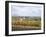 Vines at Vineyard in Autumn, Brnensko, Czech Republic-Richard Nebesky-Framed Photographic Print