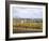 Vines at Vineyard in Autumn, Brnensko, Czech Republic-Richard Nebesky-Framed Photographic Print