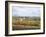 Vines at Vineyard in Autumn, Brnensko, Czech Republic-Richard Nebesky-Framed Photographic Print