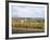 Vines at Vineyard in Autumn, Brnensko, Czech Republic-Richard Nebesky-Framed Photographic Print