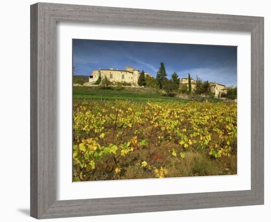 Vines in Front of the Village of Le Poet Laval, Drome, Rhone-Alpes, France, Europe-Michael Busselle-Framed Photographic Print