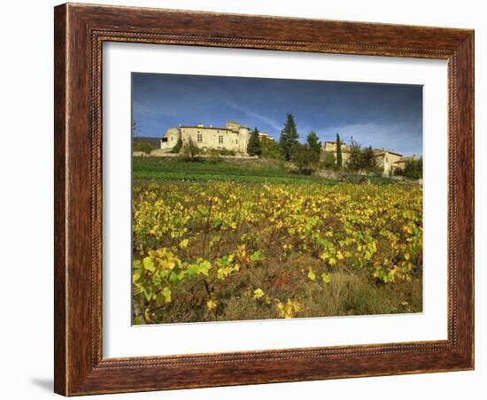 Vines in Front of the Village of Le Poet Laval, Drome, Rhone-Alpes, France, Europe-Michael Busselle-Framed Photographic Print