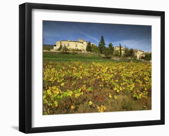 Vines in Front of the Village of Le Poet Laval, Drome, Rhone-Alpes, France, Europe-Michael Busselle-Framed Photographic Print