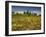 Vines in Front of the Village of Le Poet Laval, Drome, Rhone-Alpes, France, Europe-Michael Busselle-Framed Photographic Print