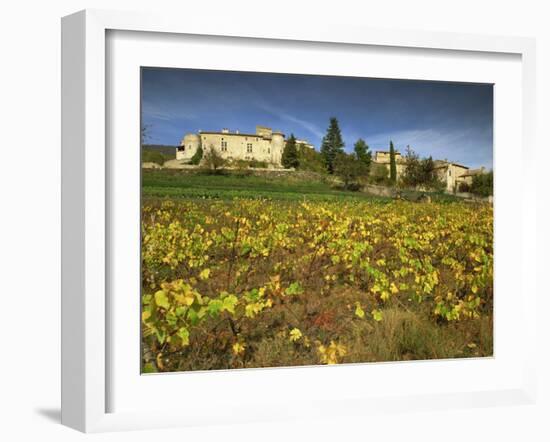 Vines in Front of the Village of Le Poet Laval, Drome, Rhone-Alpes, France, Europe-Michael Busselle-Framed Photographic Print