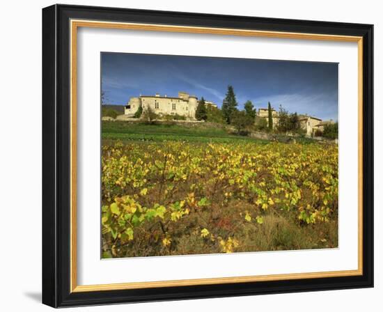 Vines in Front of the Village of Le Poet Laval, Drome, Rhone-Alpes, France, Europe-Michael Busselle-Framed Photographic Print