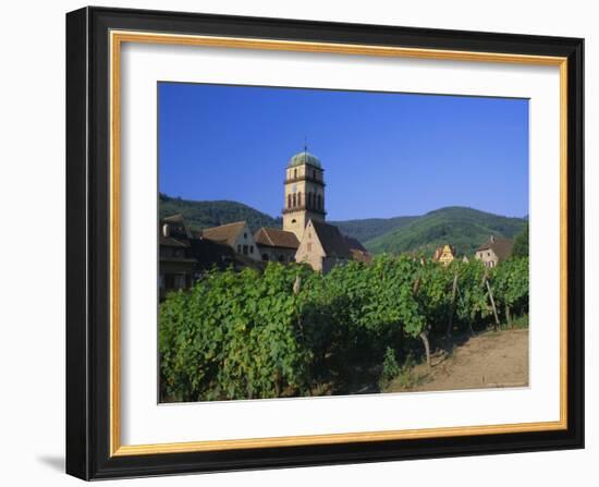 Vines in Vineyards and Tower of the Church of Ste. Croix, Kaysersberg, Haut-Rhin, Alsace, France-Ruth Tomlinson-Framed Photographic Print