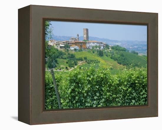 Vines in Vineyards Around Barbaresco, the Langhe, Piemonte (Piedmont), Italy, Europe-Sheila Terry-Framed Premier Image Canvas