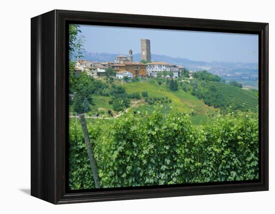 Vines in Vineyards Around Barbaresco, the Langhe, Piemonte (Piedmont), Italy, Europe-Sheila Terry-Framed Premier Image Canvas