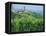 Vines in Vineyards Around Barbaresco, the Langhe, Piemonte (Piedmont), Italy, Europe-Sheila Terry-Framed Premier Image Canvas